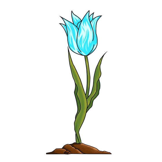 EtherTulip #68