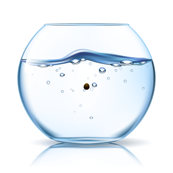 Marimo #5783