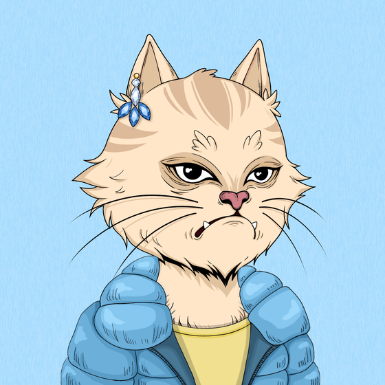 Angry Cat #5760