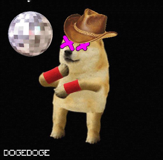 DOGEDOGE #354