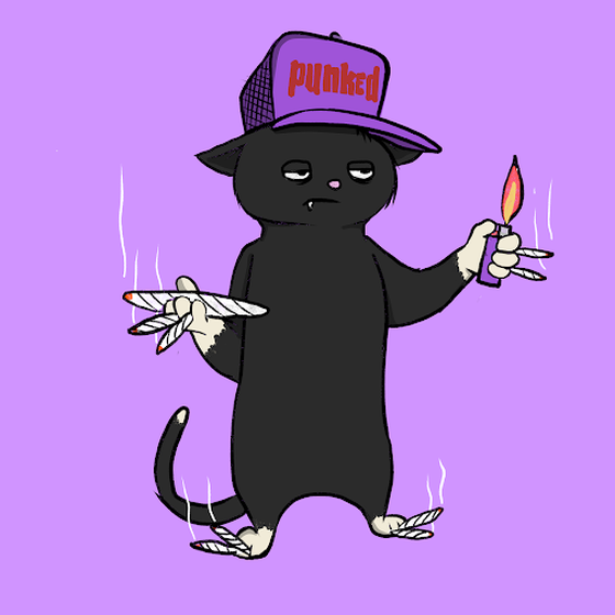 Blazed Cat #5801