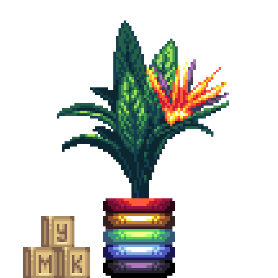 Bird of Paradise in Rainbow Rings pot with Toy Cubes