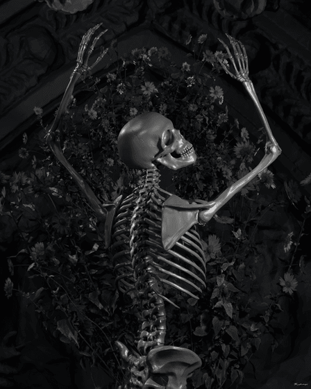 036 - Morbid