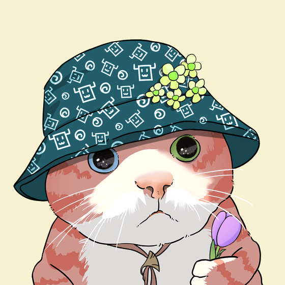 Puzzled cat #9554