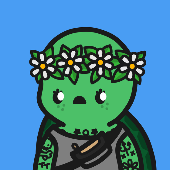 Turtle Town #4347