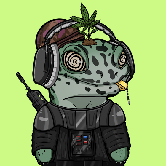 TUKO #1541