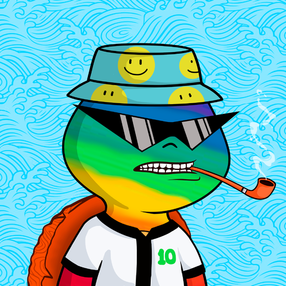 Turtle Buddy #338