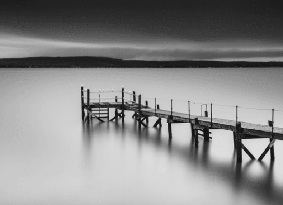 Birds on a Pier