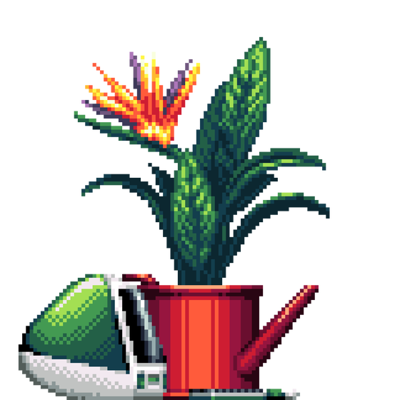 Bird of Paradise in Watering Can pot with iMac