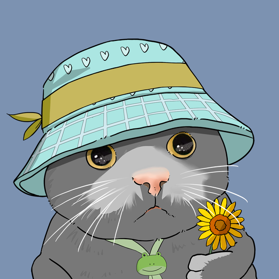 Puzzled cat #1486