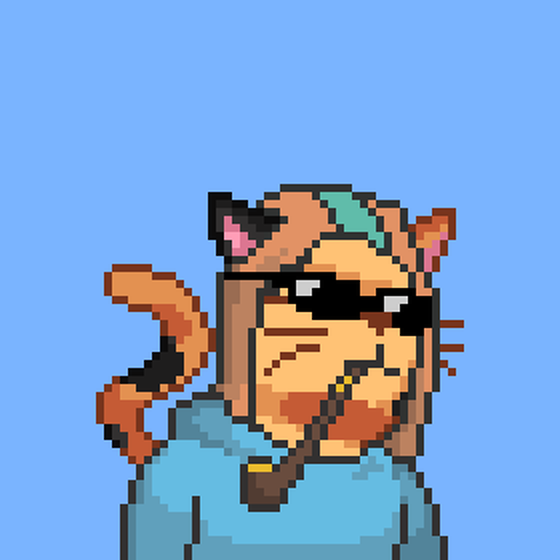 Cat #362