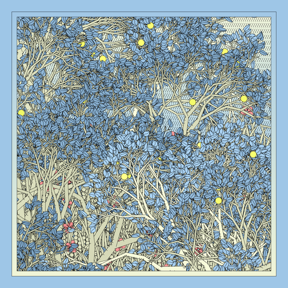 Entangled #478