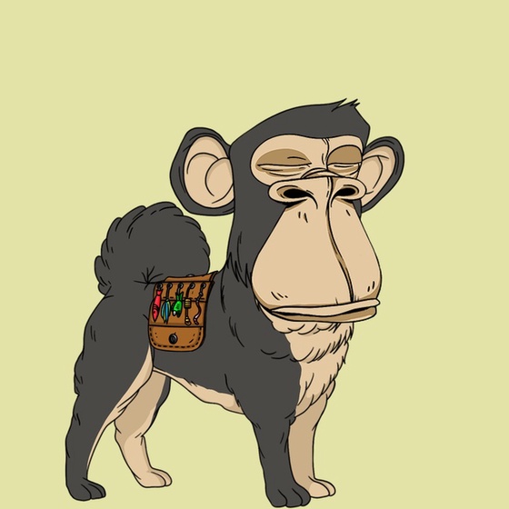 Kennel Ape #9062