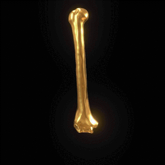 Party Bone #4269