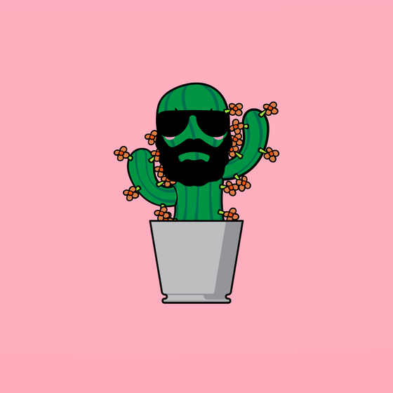 Cactus #3