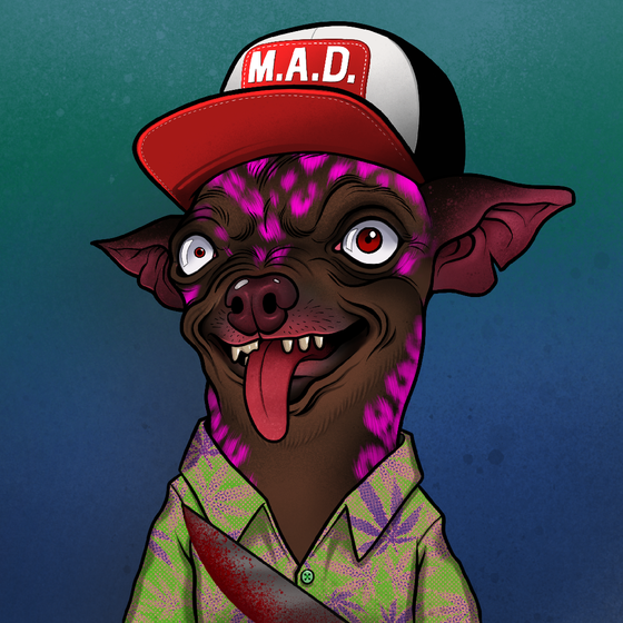 Mad Chihuahua #2582