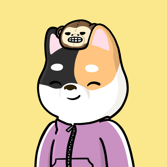 Shibe #329