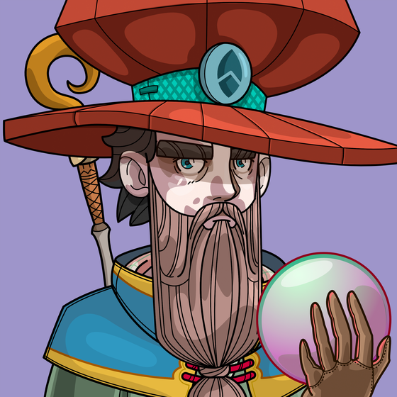 Wizard 897