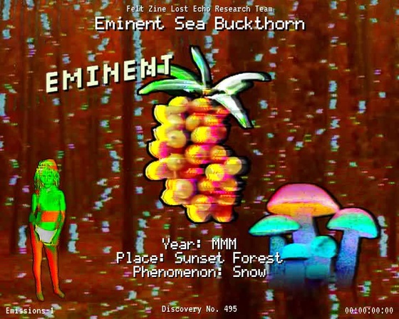#495 | Eminent Sea Buckthorn