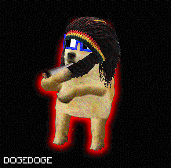 DOGEDOGE #920