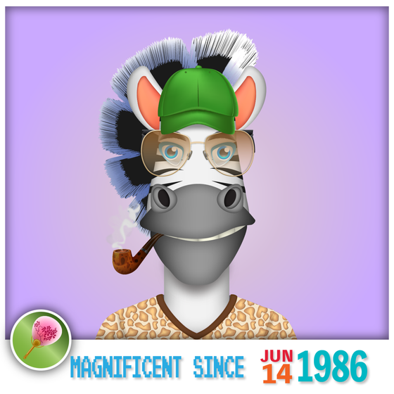 Zebra Birthday #1061