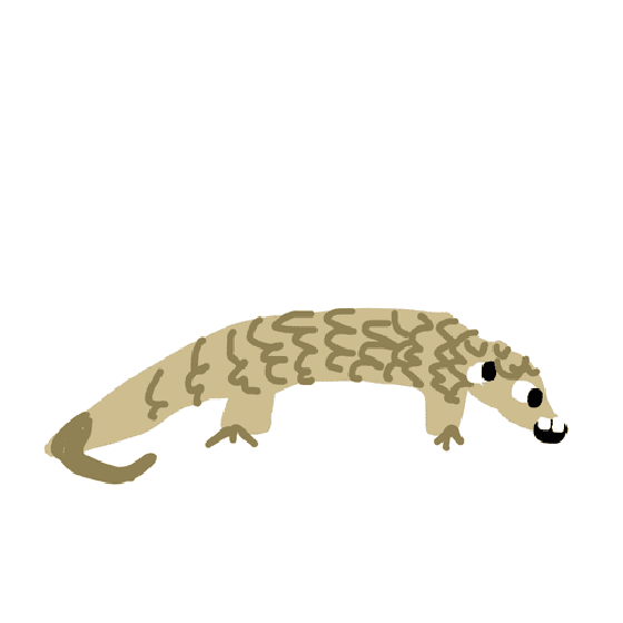 Pangolin