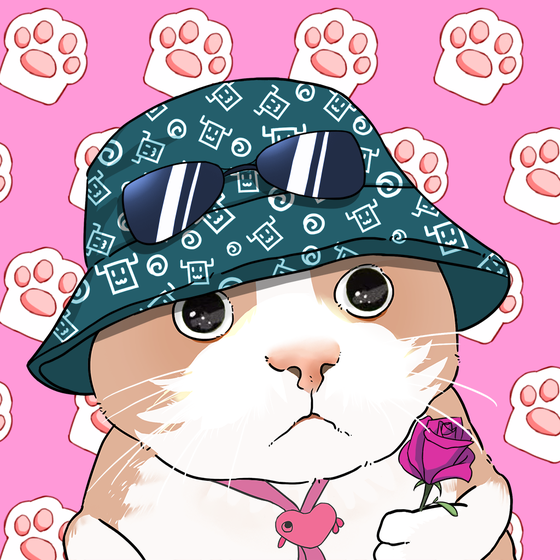 Puzzled cat #8566