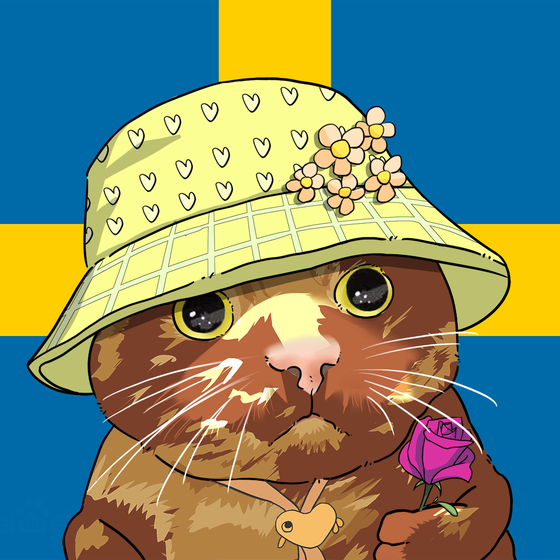 Puzzled cat #8814