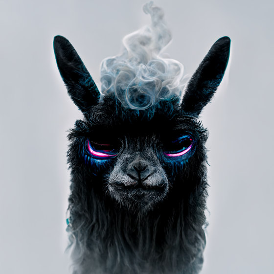 DLlama #421