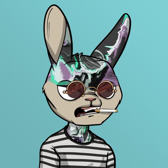Mad Rabbit #1493