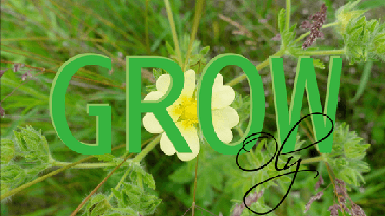 Oly - Grow (1/1)