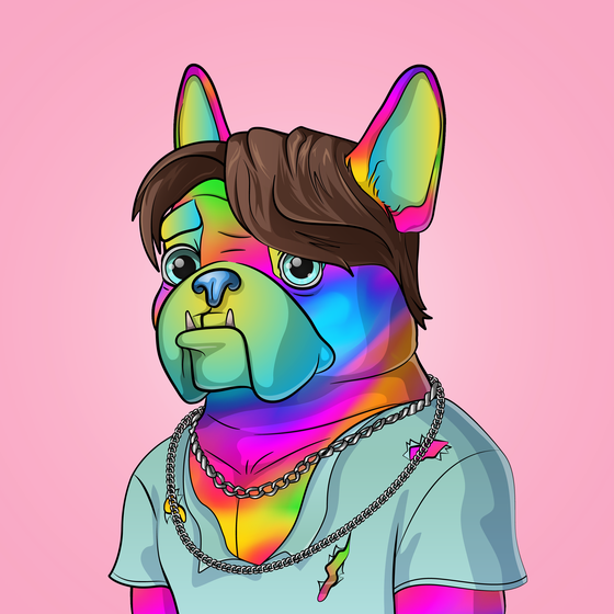 Bohemian Bulldog #2257