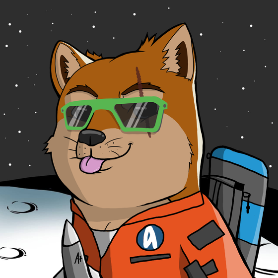 DogeX#9662
