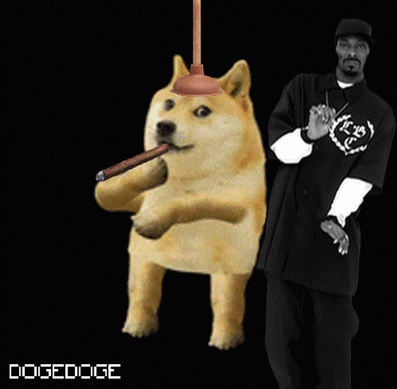 DOGEDOGE #1596