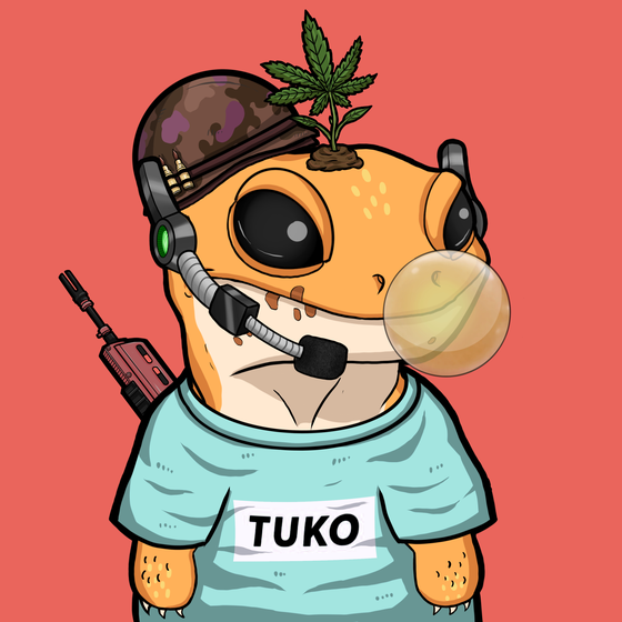 TUKO #3177