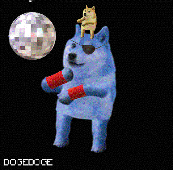 DOGEDOGE #1737