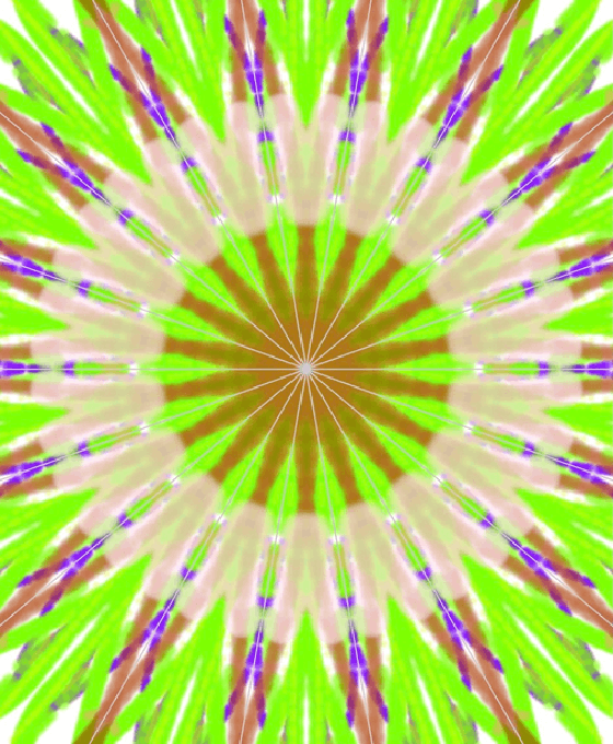 Trippie Love #5