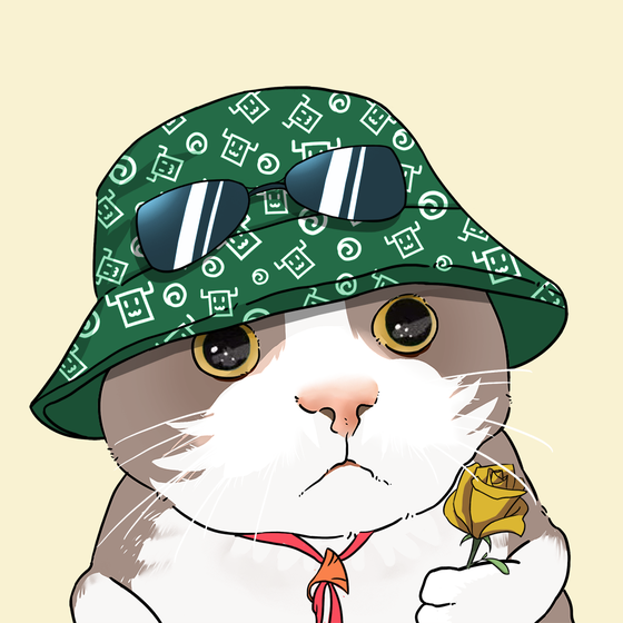 Puzzled cat #415