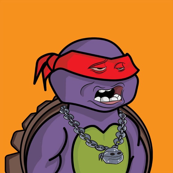 Degen Ninja Turtle #896