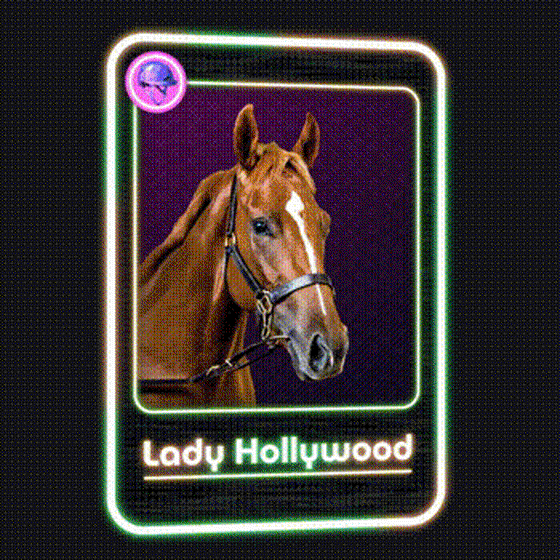 Lady Hollywood Jockey Club #25