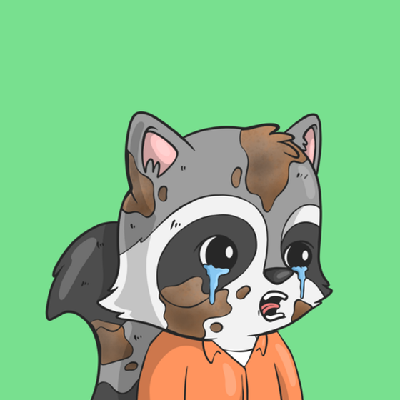 LookAtMyRaccoon #6162