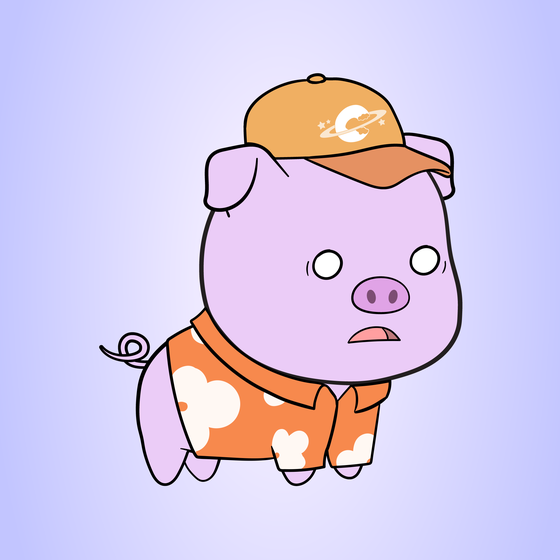 Chubbipig #6612