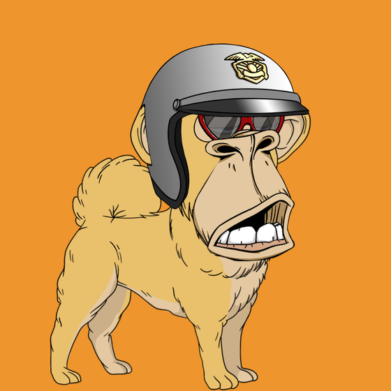 Kennel Ape #9599