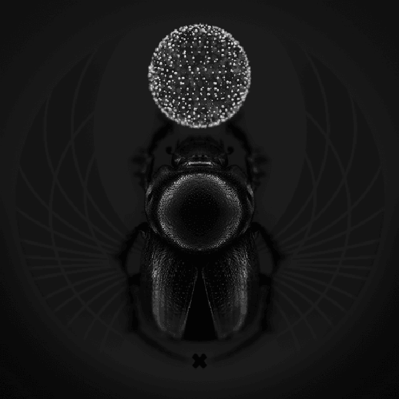 Rebirth : Scarab