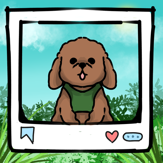 旅する犬 #602