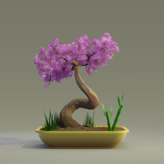 Bonsai #3570