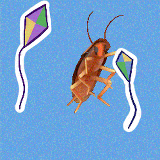 CockCockCockroach #531