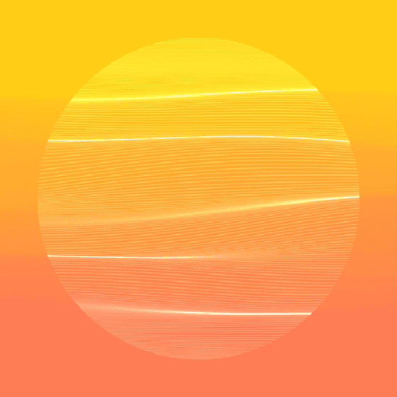 Fluctuation 3004