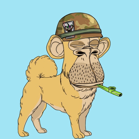 Kennel Ape #9817