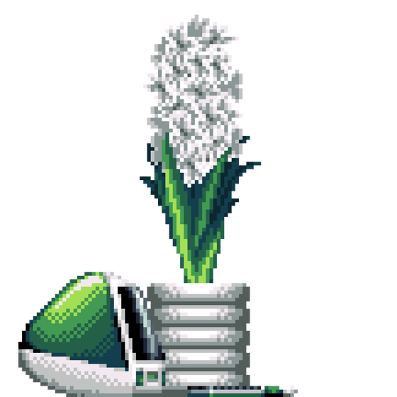 White Hyacinth in Rings pot with iMac